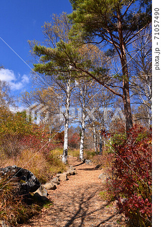 秋の八千穂高原花木園 71057490