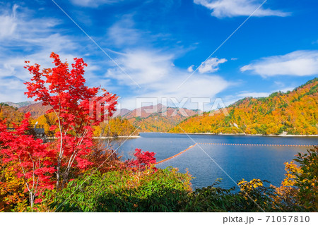 紅葉の楓と奥利根湖 紅葉の楓と奥利根湖 71057810