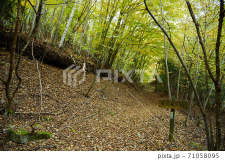 （山梨県）御坂山地、大石峠入口 71058095