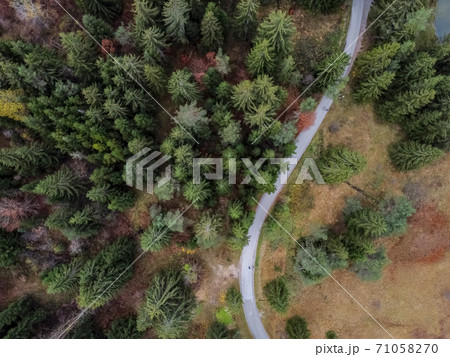 road in the autumn forest drone view road in the autumn forest drone view 71058270