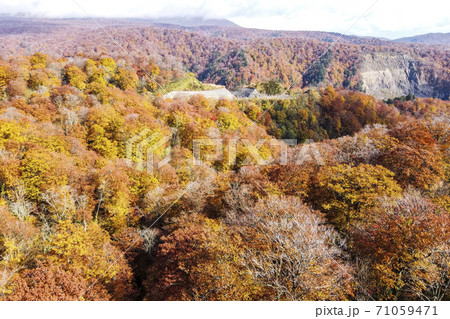 雨上がりの湯浜峠 紅葉 ドローン撮影 宮城県栗原市 雨上がりの湯浜峠 紅葉 ドローン撮影 宮城県栗原市 71059471