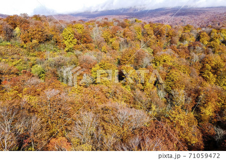 雨上がりの湯浜峠 紅葉 ドローン撮影 宮城県栗原市 雨上がりの湯浜峠 紅葉 ドローン撮影 宮城県栗原市 71059472