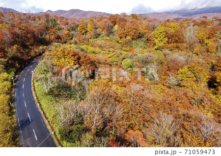 雨上がりの湯浜峠　紅葉　ドローン撮影　宮城県栗原市 71059473