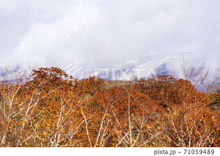 雨上がりの湯浜峠 紅葉と栗駒山 宮城県栗原市 雨上がりの湯浜峠 紅葉と栗駒山 宮城県栗原市 71059489