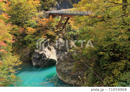 秋山郷の秋 猿飛橋 秋山郷の秋 猿飛橋 71059908
