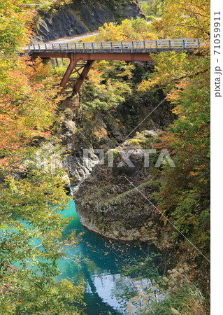 秋山郷の秋　猿飛橋 71059911