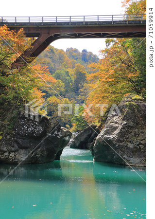 秋山郷の秋　猿飛橋 71059914