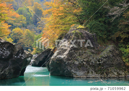 秋山郷の秋 猿飛橋下の中津川渓谷 秋山郷の秋 猿飛橋下の中津川渓谷 71059962