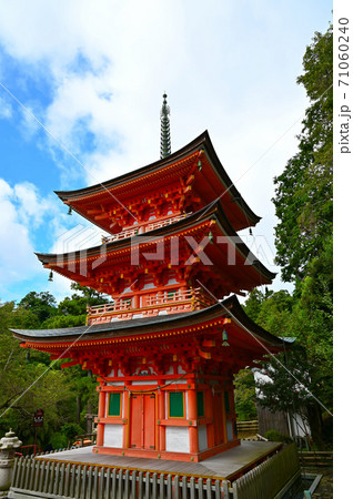 竹生島宝厳寺 三重塔 竹生島宝厳寺 三重塔 71060240