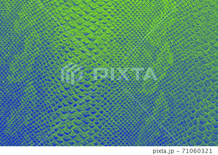 background texture of bright emerald green snake skin background texture of bright emerald green snake skin 71060321