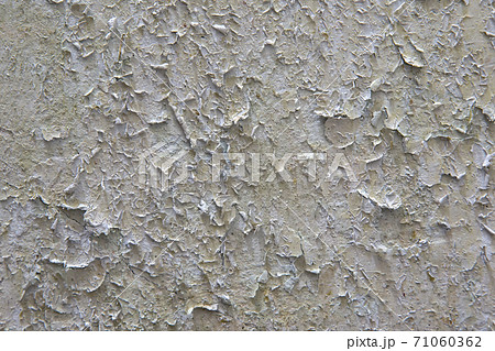 background texture of old cracked plaster shabby wall background texture of old cracked plaster shabby wall 71060362