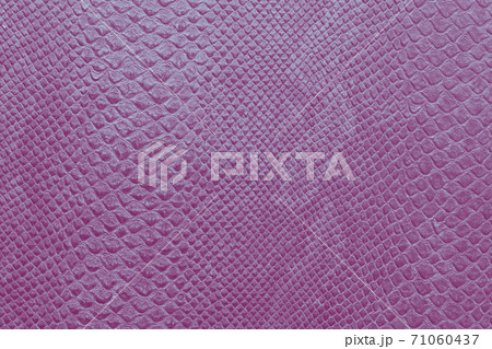background texture of pink snake skin 71060437