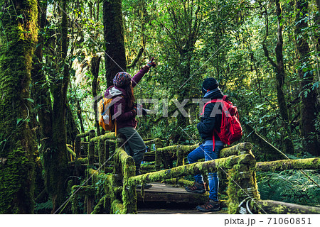 Couples traveling, relax in winter. walking travel to study nature in the rainforest. at the angka, Chiangmai in Thailand. 71060851