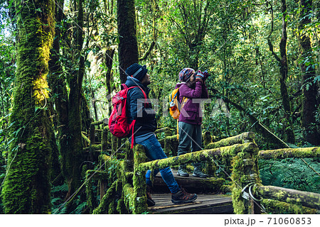 Couples traveling, relax in winter. walking travel to study nature in the rainforest. at the angka, Chiangmai in Thailand. Couples traveling, relax in winter. walking travel to study nature in the rainforest. at the angka, Chiangmai in Thailand. 71060853