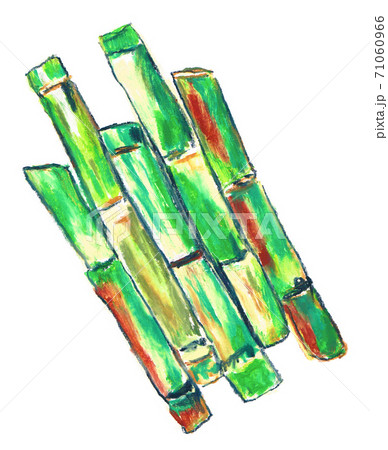 サトウキビ 71060966