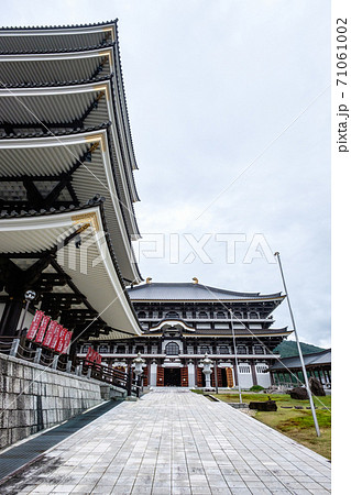 長楽寺（但馬大仏・但馬大佛）：五重塔と大仏殿 71061002