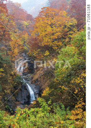 雨の湯浜峠 紅葉と滝 秋田県湯沢市 雨の湯浜峠 紅葉と滝 秋田県湯沢市 71061188