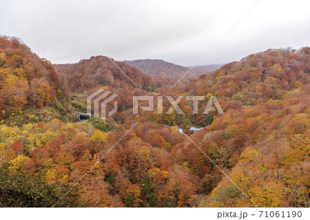 秋の湯浜峠の風景　湯浜温泉　宮城県栗原市 71061190
