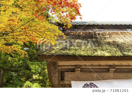 仙台藩花山村寒湯番所跡の紅葉　宮城県栗原市 71061201