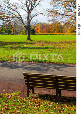 秋の公園にあるベンチと芝生広場の写真素材