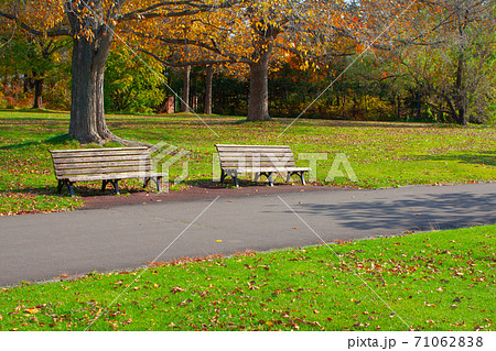 秋の公園にある2つのベンチと芝生の写真素材