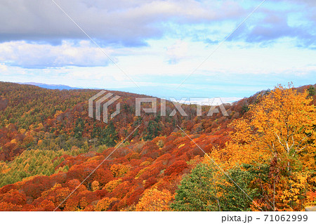秋の城ヶ倉大橋付近(青森県・十和田市) 秋の城ヶ倉大橋付近(青森県・十和田市) 71062999