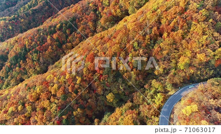 日光　紅葉 71063017