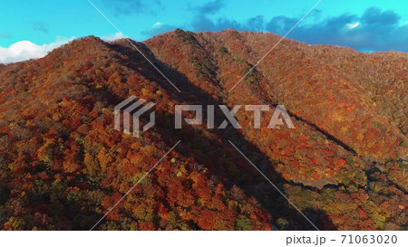 日光　紅葉 71063020