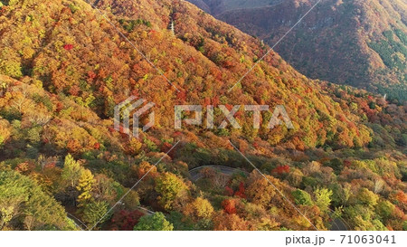 日光 紅葉 日光 紅葉 71063041