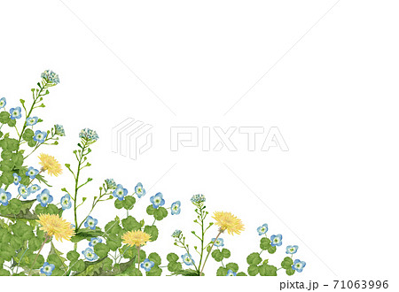 水彩の春の草花 風景イラストのイラスト素材