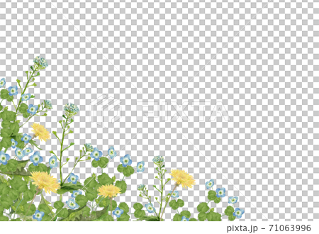 水彩の春の草花　風景イラスト 71063996