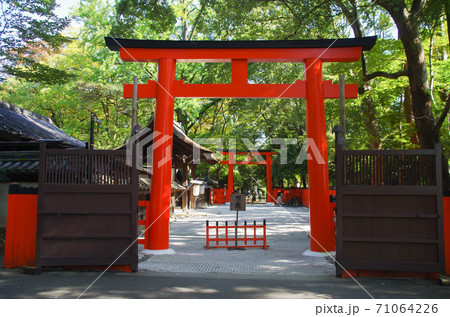 河合神社の赤鳥居 河合神社の赤鳥居 71064226