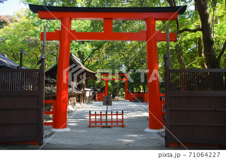 河合神社の赤鳥居 河合神社の赤鳥居 71064227