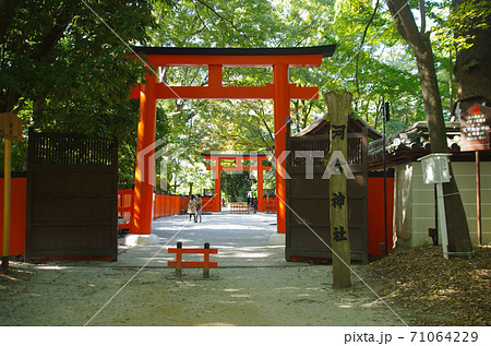 河合神社の赤鳥居 71064229
