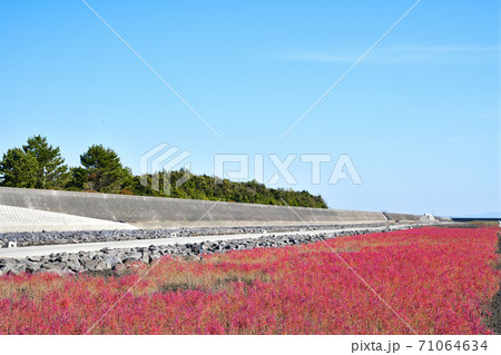 佐賀市 東よか干潟の風景 佐賀市 東よか干潟の風景 71064634
