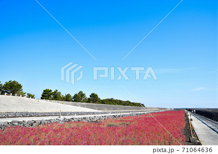 佐賀市 東よか干潟の風景 佐賀市 東よか干潟の風景 71064636
