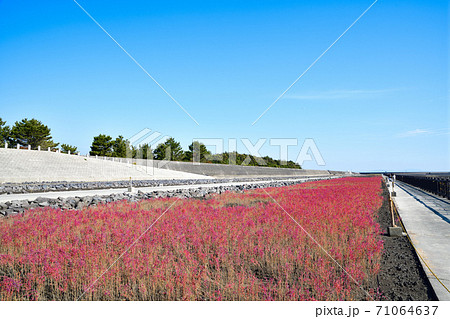 佐賀市 東よか干潟の風景 佐賀市 東よか干潟の風景 71064637