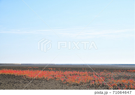 佐賀市　東よか干潟の風景 71064647