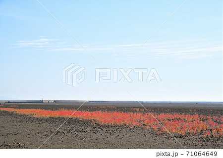 佐賀市　東よか干潟の風景 71064649
