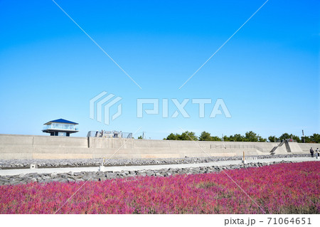 佐賀市　東よか干潟の風景 71064651