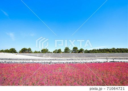 佐賀市 東よか干潟の風景 佐賀市 東よか干潟の風景 71064721