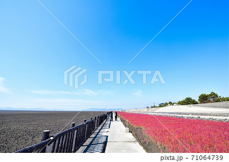 佐賀市 東よか干潟の風景 佐賀市 東よか干潟の風景 71064739