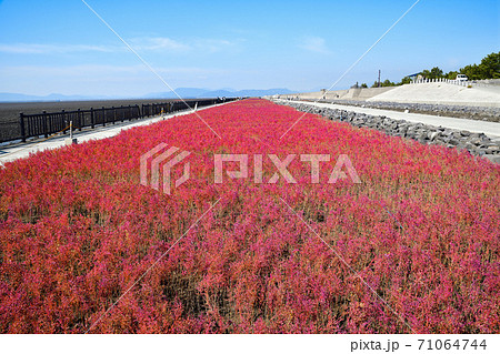 佐賀市　東よか干潟の風景 71064744