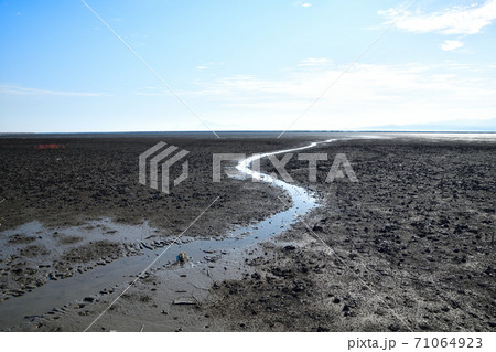 佐賀市　東よか干潟の風景 71064923
