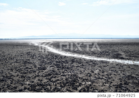 佐賀市　東よか干潟の風景 71064925