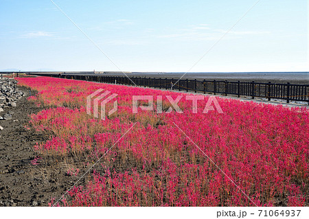 佐賀市　東よか干潟の風景 71064937