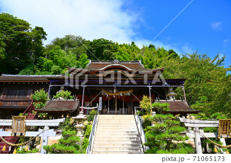 竹生島神社 国宝御本殿 竹生島 竹生島神社 国宝御本殿 竹生島 71065173