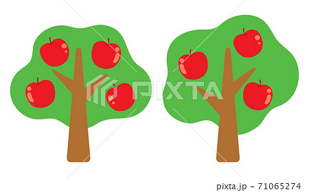 並んだ2本のリンゴの木 71065274