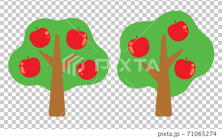 並んだ2本のリンゴの木 71065274