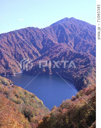 田子倉湖の紅葉 71065385